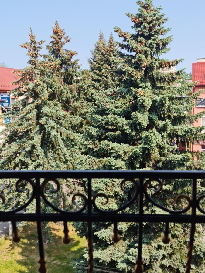 Hotel Villa Sofia Трускавец Екстериор снимка