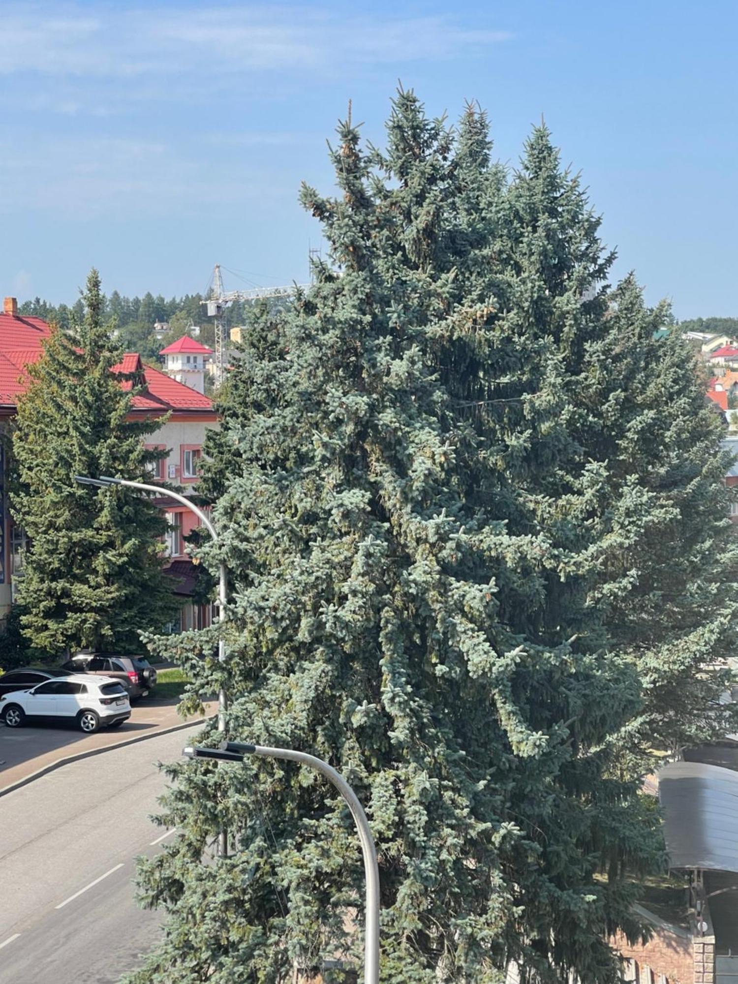 Hotel Villa Sofia Трускавец Екстериор снимка
